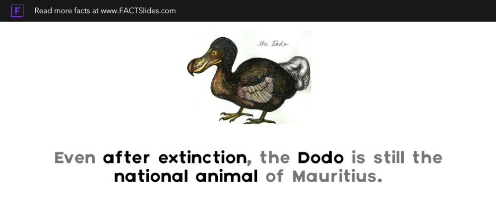 Facts about the dodo