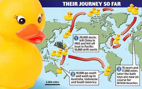 29 000 Rubber Ducks Were Lost At Sea In 1992 And Are Still Being Found Revolutionising Our Knowledge Of Ocean Science Random Facts You Didn T Know Factslides